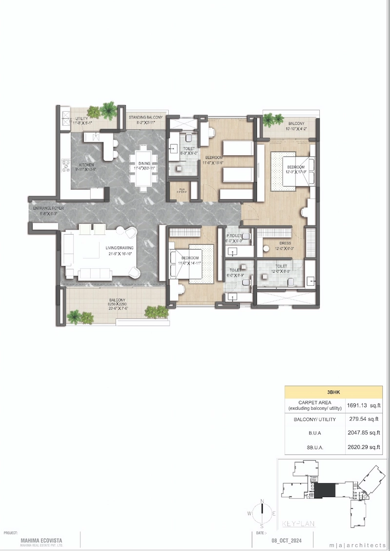 WhatsApp Image 2026-02-12 at 11.25.09 AM